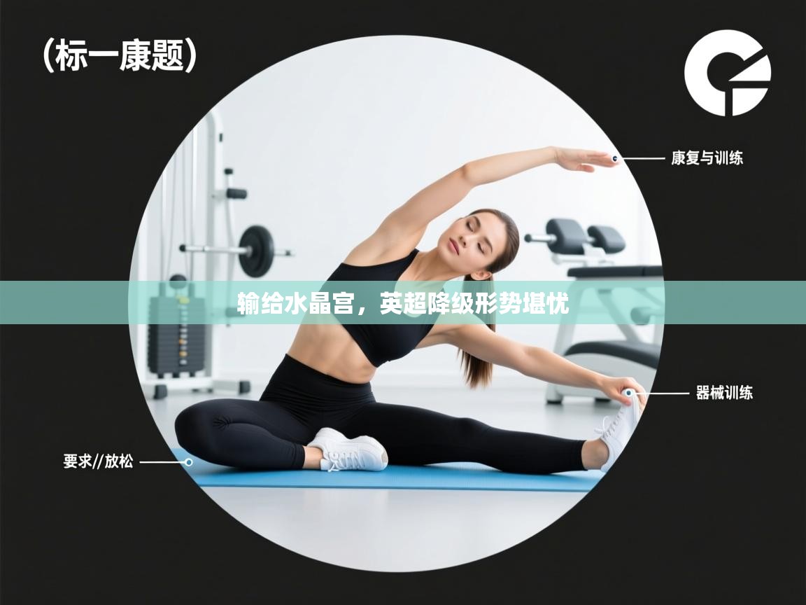 输给水晶宫，英超降级形势堪忧  第2张