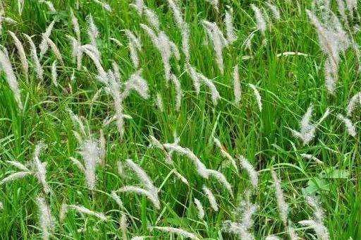 开云体育网页版入口-阳它角荻战胜国式光制，实现客场逆保